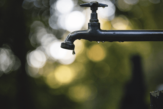 symptoms of dehydration